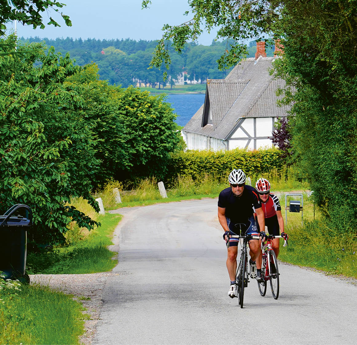 Two men riding bikes on a road. Description generated by AI