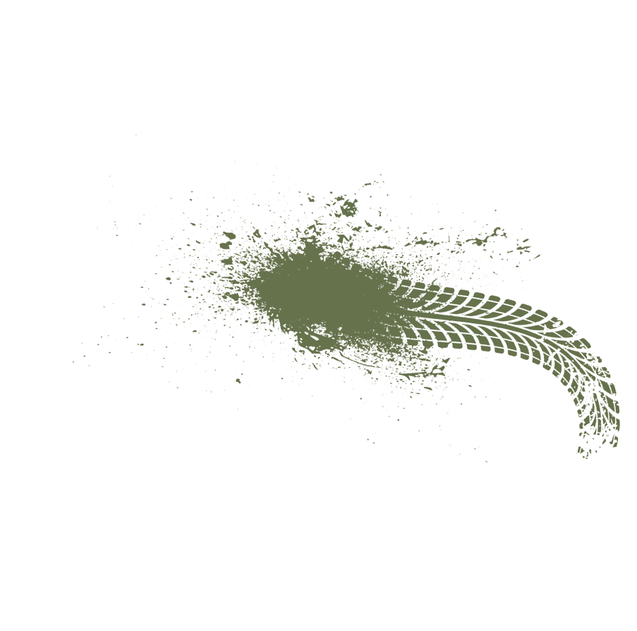 A green leaf with a white background. Description generated by AI