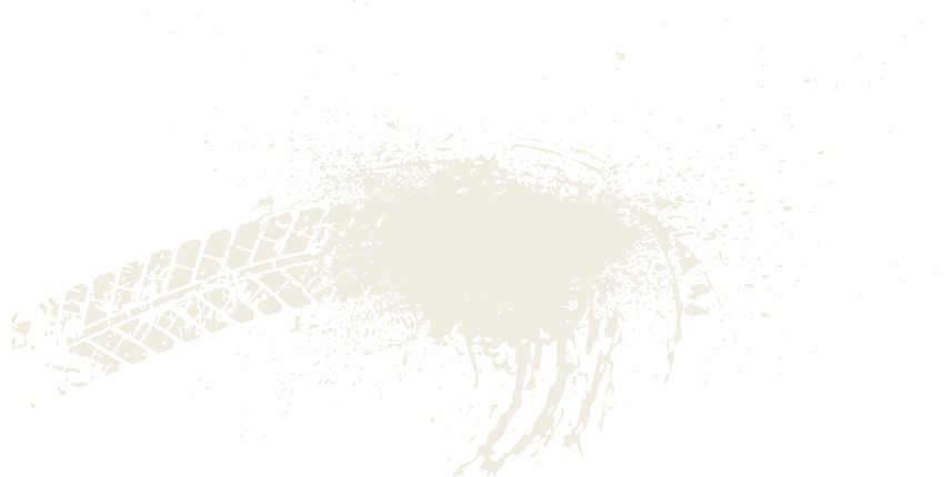 A bird feather on a white background. Description generated by AI