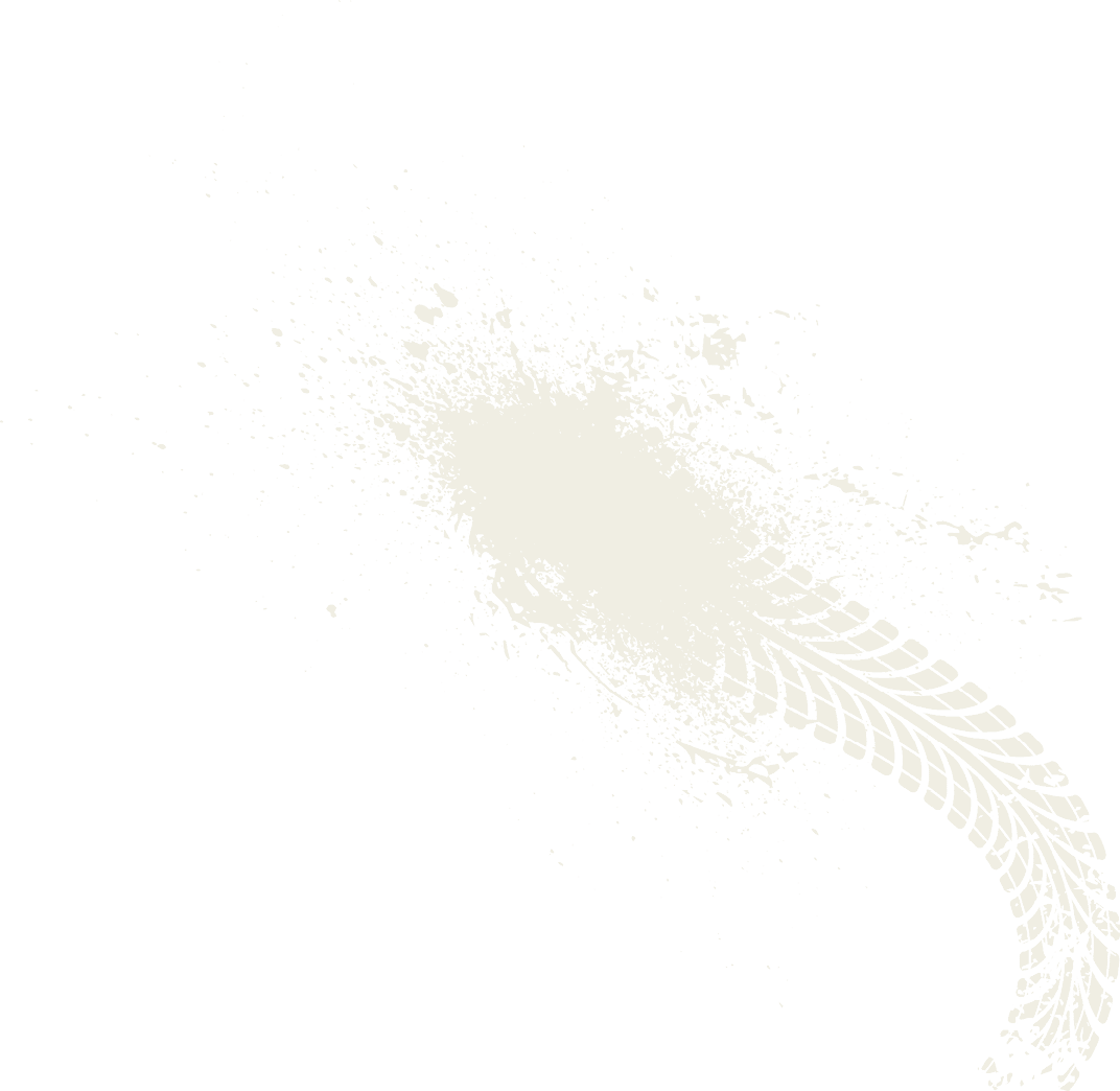 A white and brown leaf. Description generated by AI