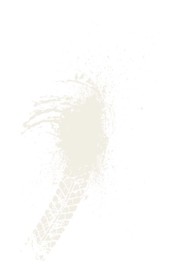 A bird feather on a white background. Description generated by AI